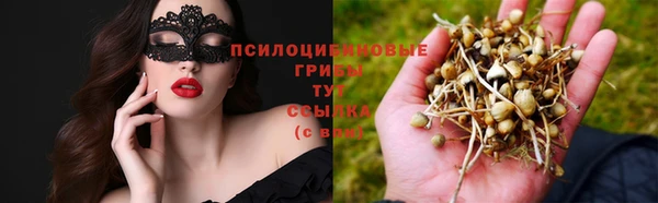 мяу мяу кристалл Алексин