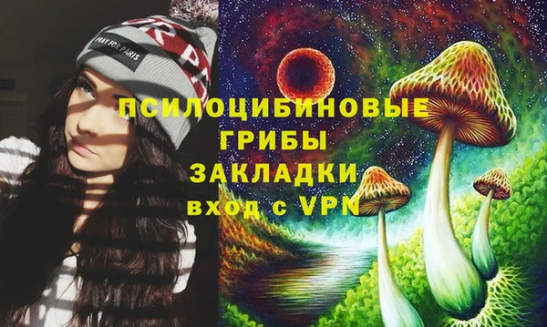 метамфетамин Алексеевка