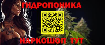spice Гатчина