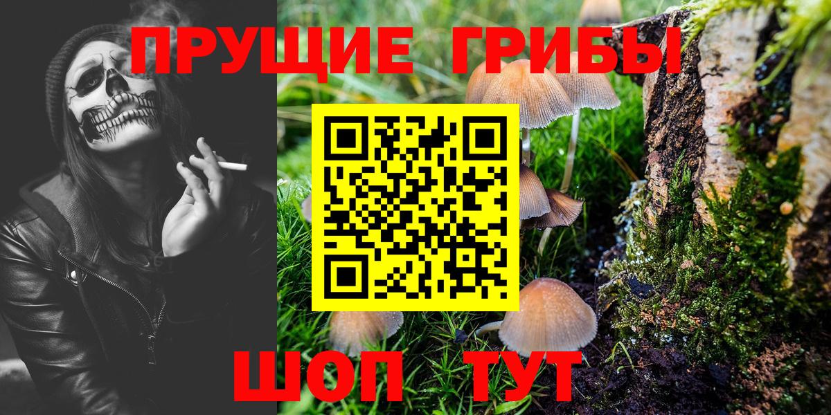 Мытищи  Псилоцибиновые грибы прущие грибы  Псилоцибиновые грибы прущие грибы  Вход с VPN 