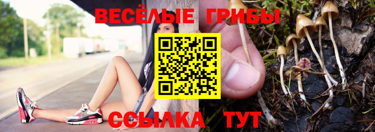 Псилоцибиновые грибы Magic Shrooms Мытищи